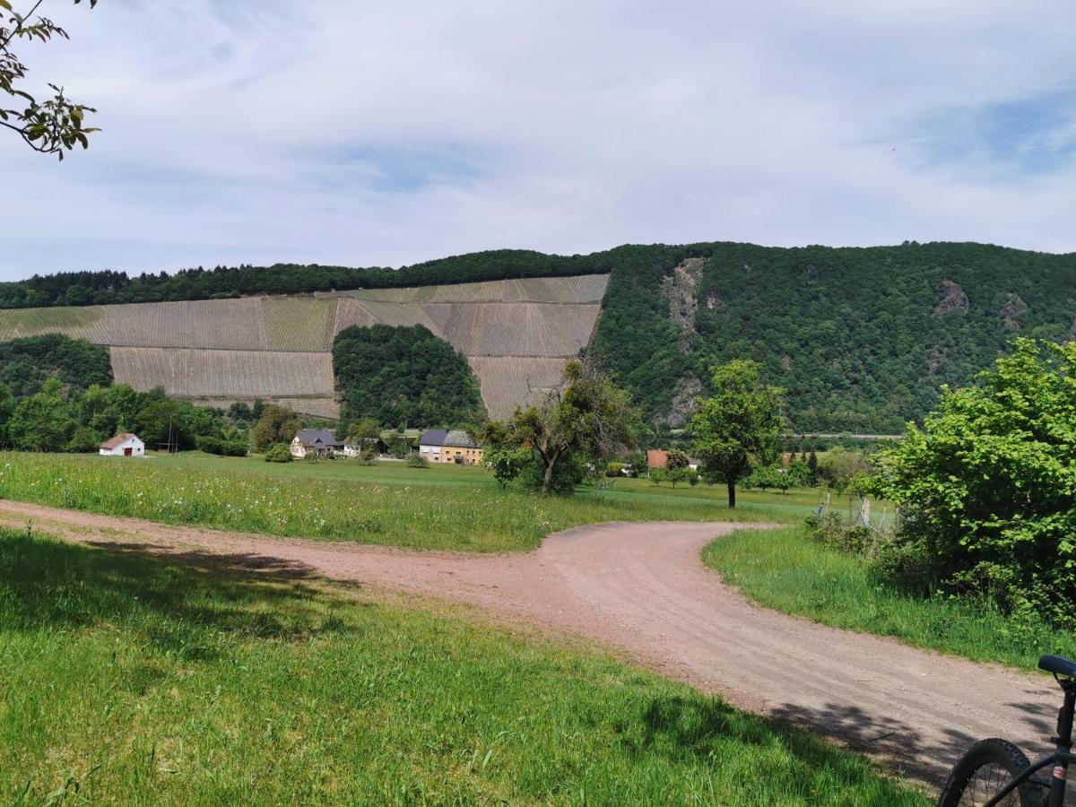 Gemuetliche 90 Qm Wohnung In Saarburg, Zentral Gelegen, Garten Mit Aussicht, Separater Eingang Eksteriør billede